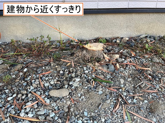 南アルプス市　屋根塗装　木を伐採